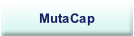 MutaCap.